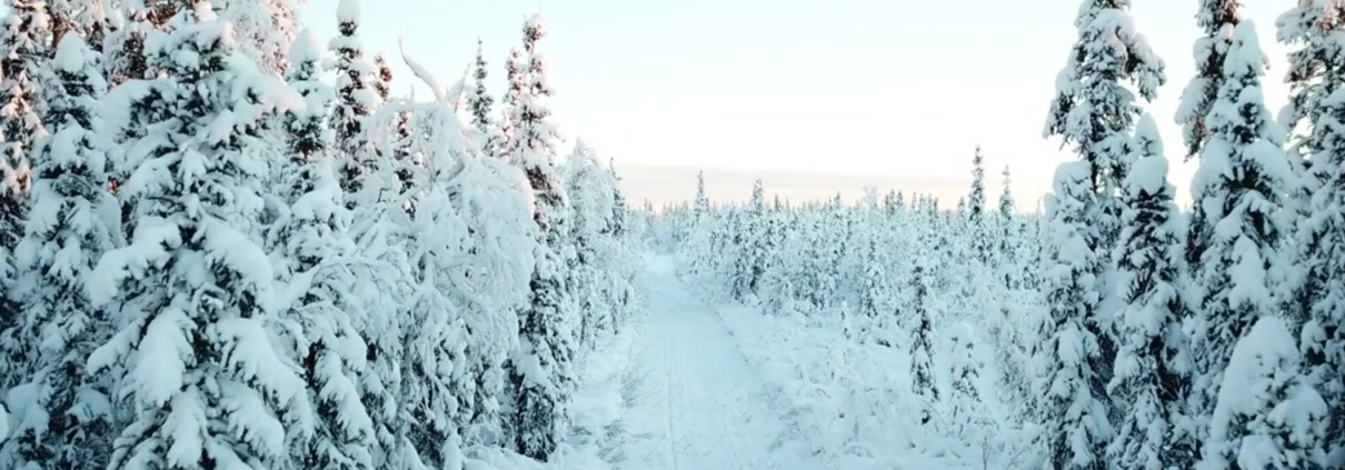 Multilingua keeltekooli ja kompetentsikeskuse jõulutervitus